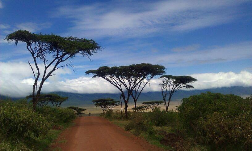 African Sunrise Lodge And Campsite Mto wa Mbu Luaran gambar